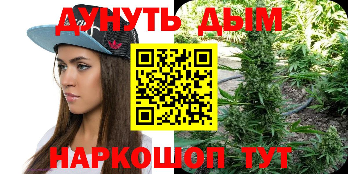Бошки Шишки план  Конопля план  Лесосибирск  Вход с VPN  МАРИХУАНА семена  Марихуана план 